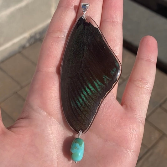 Peacock Butterfly Wing Pendant with Turquoise