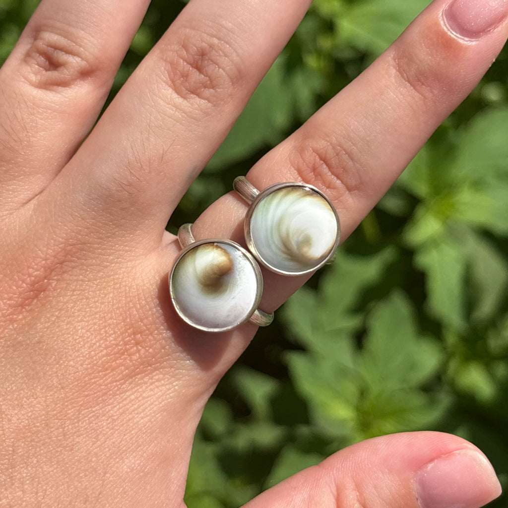 Large Spiral Shell Ring
