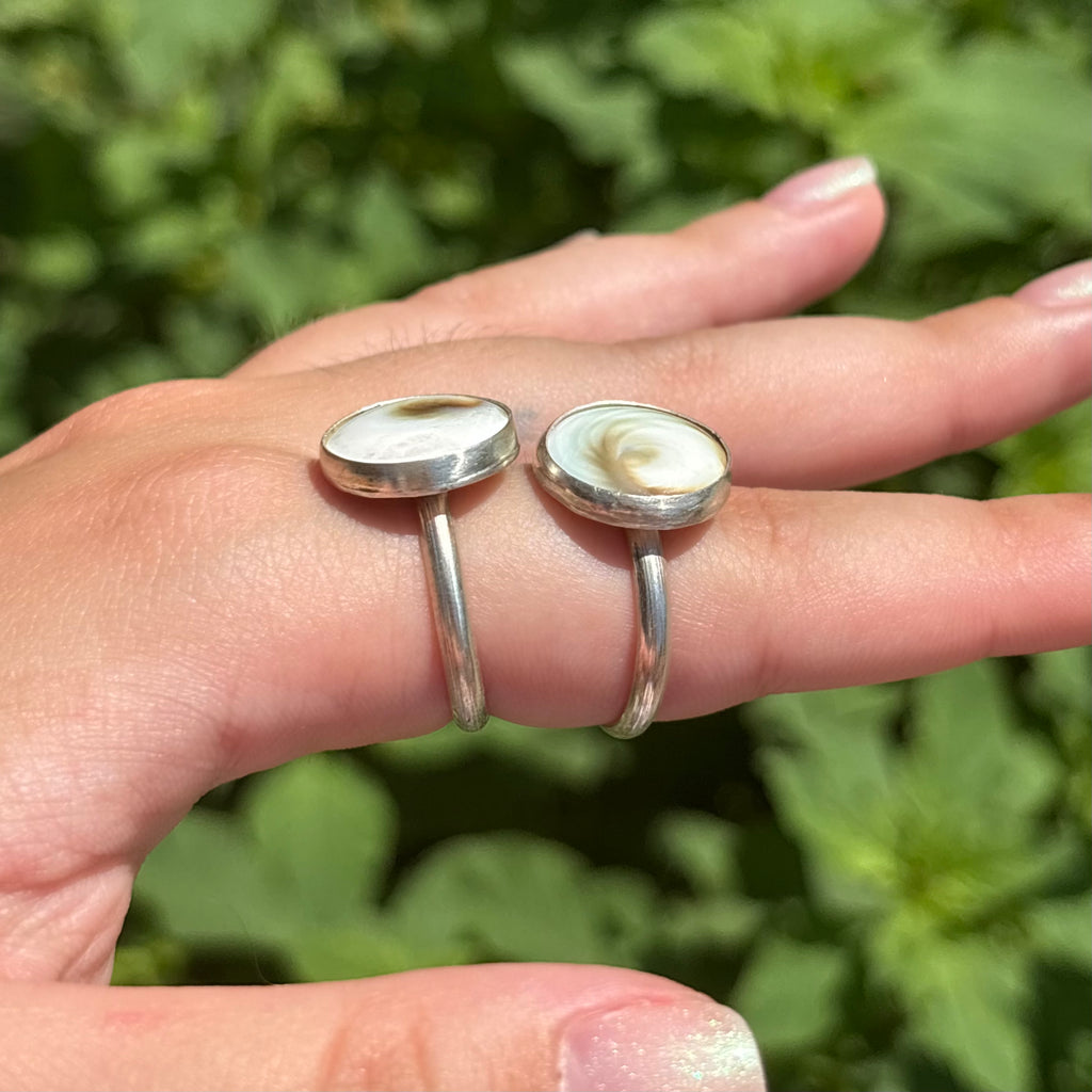 Large Spiral Shell Ring